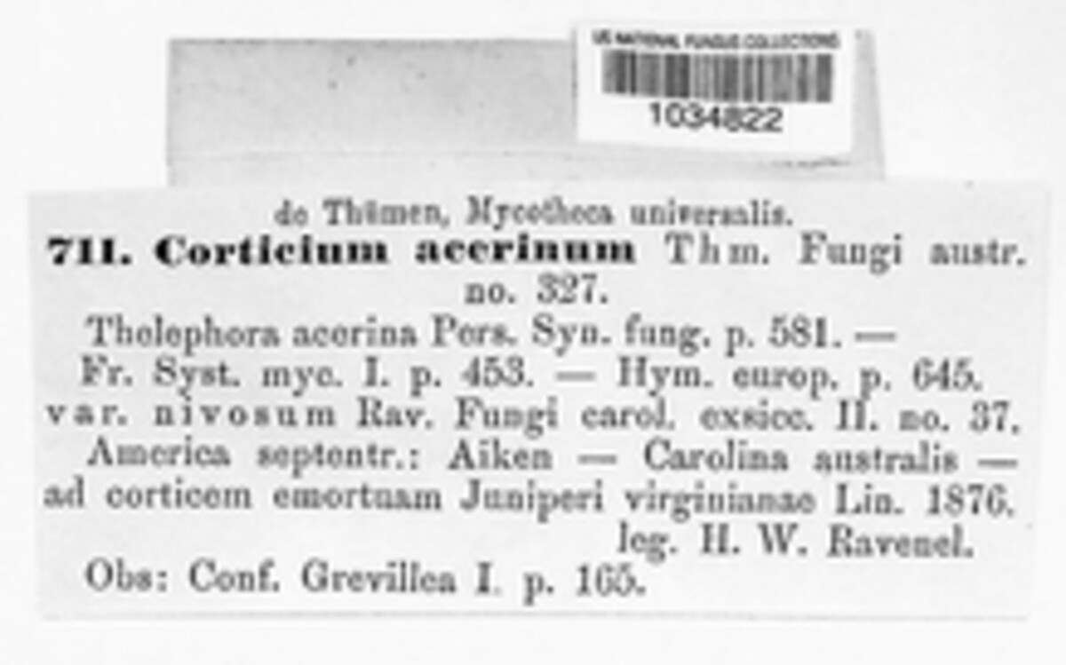 Vuilleminia macrospora image